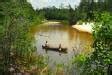 Blackwater River Canoe And Kayak Rental Tripshock