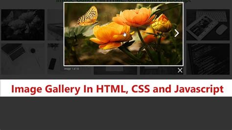Image Gallery Using Html Css Free Source Code Youtube Vrogue