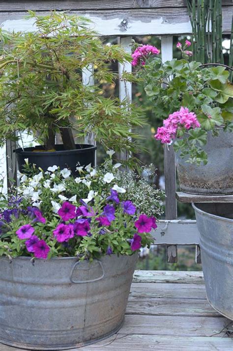 Galvanized Tubs And Buckets Container Garden Flower Patch Farmhouse