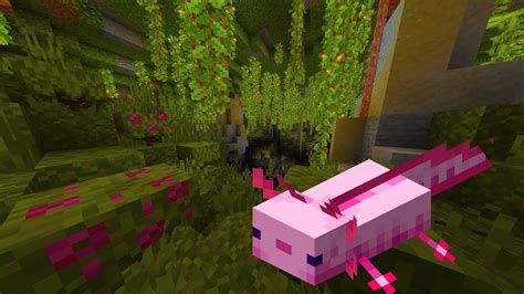 Minecraft 1181 How To Find Axolotl And Lush Caves Tutorial Youtube