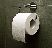 Image result for Toilet Paper Roll