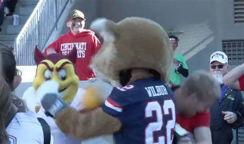 College Football World Reacts To Mascot Fight The Spun