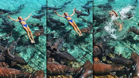 Instagram Model Bitten By Shark While Posing For Photos