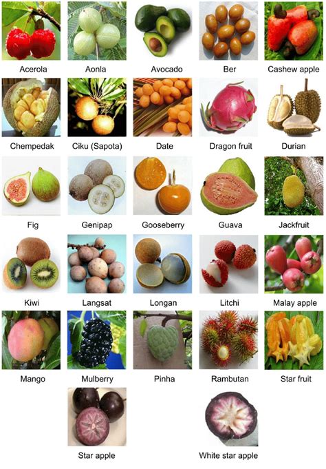 Exotic Fruits Covered By The Review Download Scientific Diagram