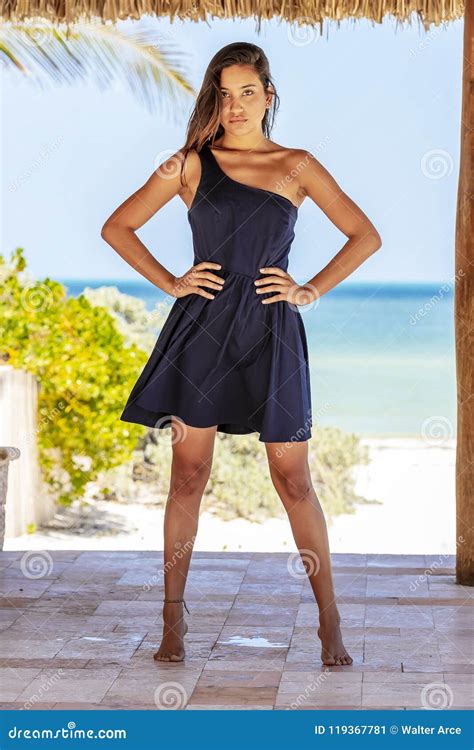 Hispanic Brunette Model Enjoying A Sunny Day Stock Image Image Of Brunette Dress 119367781