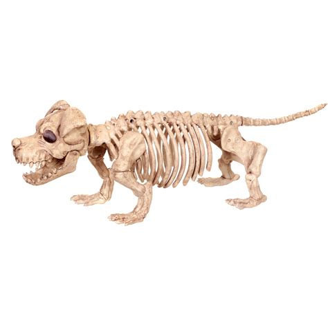 Animated light up skeleton dog cat halloween party prop. Halloween Small Skeleton Dog