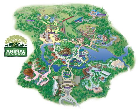 Animal Kingdom Disney Animal Kingdom Map Animal Kingdom