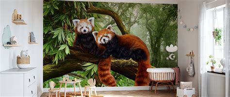 Red Pandas Populär Fototapet Photowall
