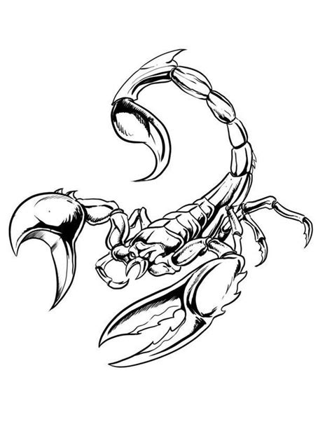 Scorpions are one of the most ancient land animal groups, including the arachnid class in the arthropod phylum. printable scorpion coloring pages. Scorpions are poisonous ...