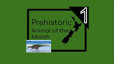 Prehistoric New Zealand Prehistoric Animal Of The Month Episode 1