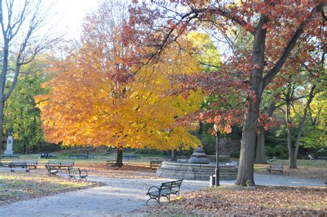 Fall Foliage In Parks Nyc Parks