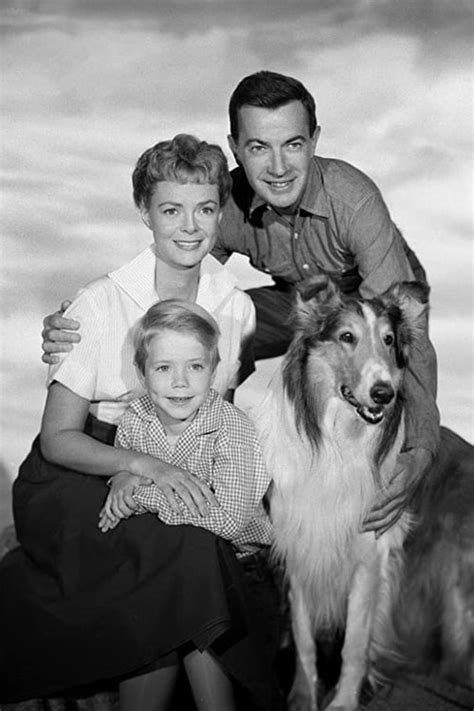 Lassie Tv Series 1954 1973 — The Movie Database Tmdb