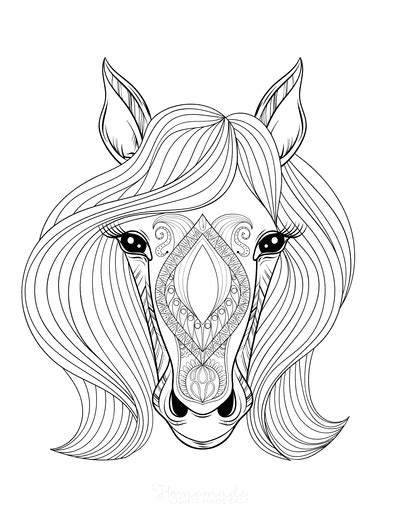 Kids Realistic Horse Coloring Pages For Adults 101 Horse Coloring