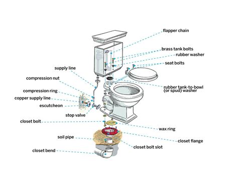 How To Install A Toilet Toilet Installation Toilet Plumbing Diy Plumbing
