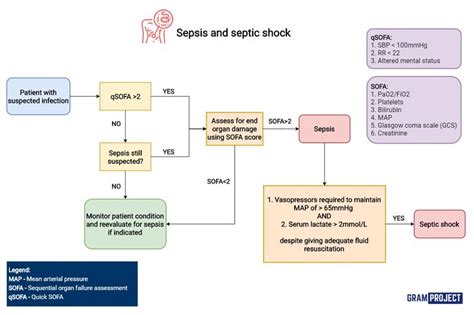 Pathophysiology Flowcharts Ideas Sepsis Septic Shock Nurse My Xxx Hot