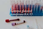 Gamma glutamil transferasa
