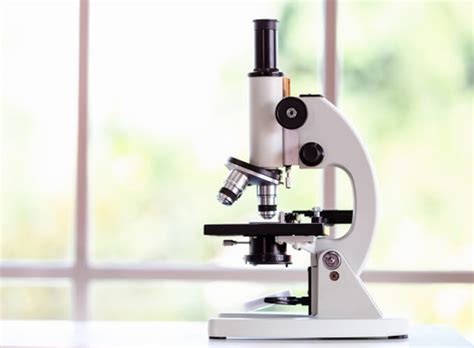 Pengertian Mikroskop Sejarah Jenis Jenisnya Dan Fungsinya