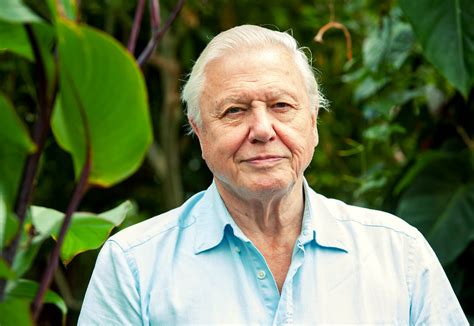 A life on our planet, will premiere in cinemas september 25, 2020. David Attenborough Urges Public To Ditch Meat In New ...