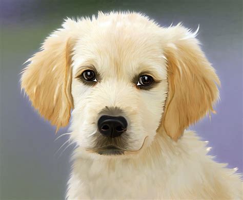 Hd Wallpaper Golden Retriever Puppy Painting Dog Golden Retriver