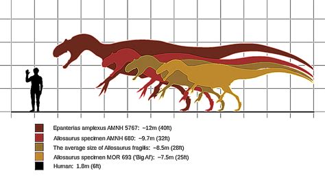 10 Key Facts About The Allosaurus