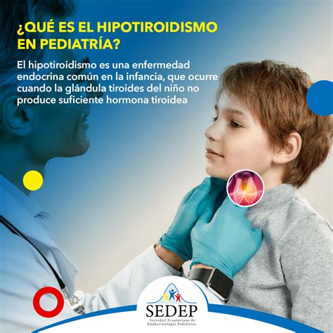 Qué Es El Hipotiroidismo En Pediatría Sedep Sociedad Ecuatoriana De