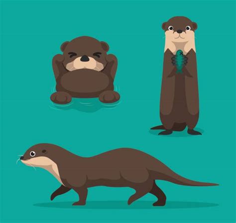 2800 Otter Stock Illustrations Royalty Free Vector Graphics And Clip