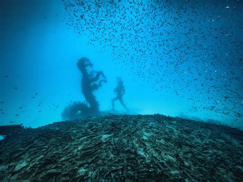 Treasures from the Wreck of the Unbelievable. Damien Hirst. Venice 2017