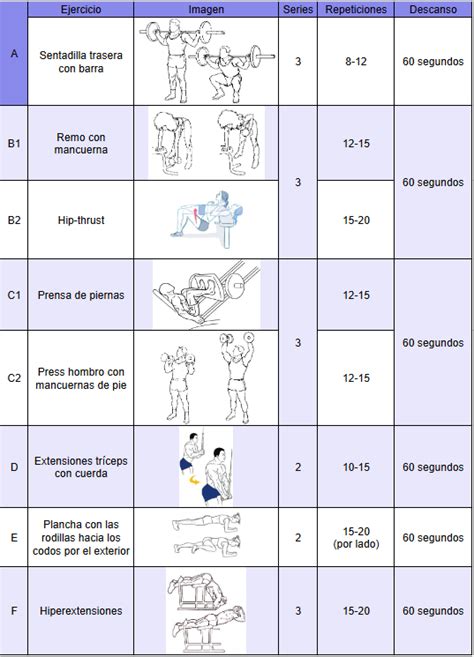 ️ Rutina De Entrenamiento Para Mujeres Principiantes Aprende A