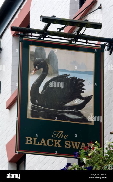 The Black Swan Pub Sign Rugby Warwickshire Uk Stock Photo Alamy