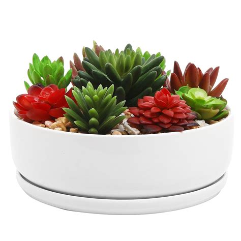 8 Inch Modern White Ceramic Round Succulent Planter Pot With Removable