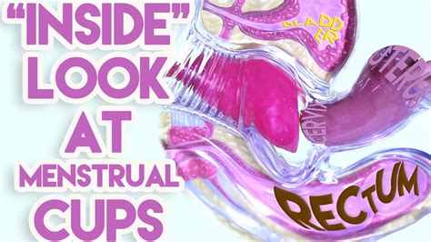 An Inside Look At Menstrual Cups Youtube