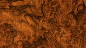Images similaires issues d'istock autres. Résultat de recherche d'images pour "texture ronce de noyer"