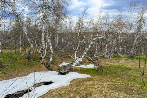 Premium Photo South Ural Rough Stream With A Unique Landscape