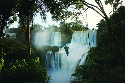 Free Images Tree Nature Forest Waterfall Jungle Tropical Body