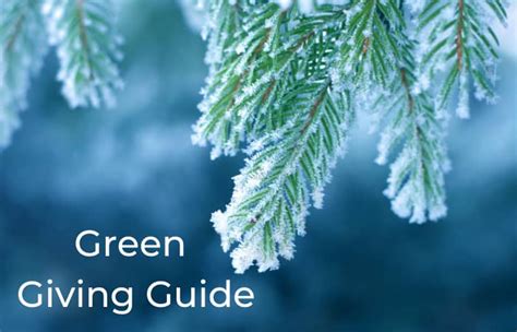 Green T Giving Guide Living Earth Naturals