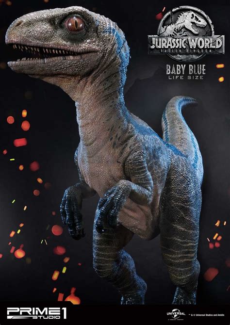 Jurassic world's blue has become the main dinosaur star of the franchise so here's what makes the velociraptor so different from the others. Jurassic World: Fallen Kingdom - Life Size Baby Blue ...