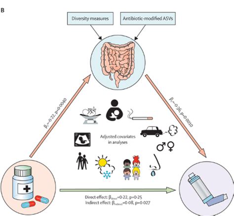 New Paper Decreasing Antibiotic Use The Gut Microbiota And Asthma
