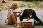 Jane Goodall, Brett Morgen on acclaimed new documentary 'Jane ...