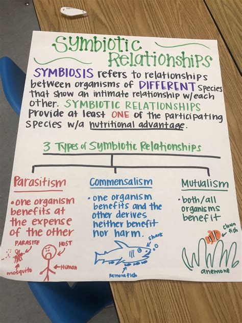 Symbiotic Relationships Anchor Chart Biology Life Science Middle