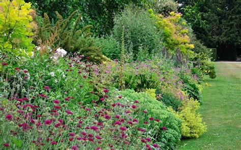 They're easy to grow, and once you plant them, they'll keep on coming back every spring to fill your. Pin by Pam Krueger on Garden | Herbaceous perennials ...