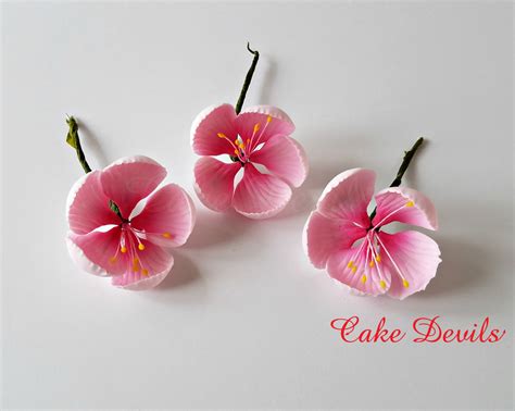 Cherry Blossom Cake Toppers Fondant Blossom Flowers Gumpaste Cherry