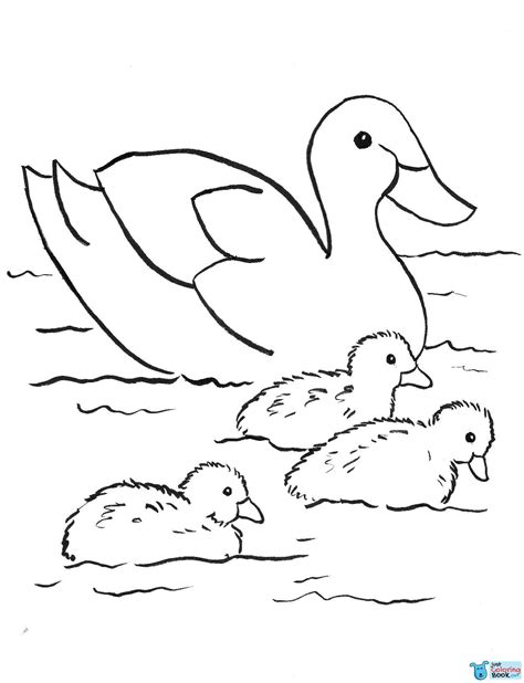 Duck Coloring Games Drpageco Inside Two Mallard Ducks Coloring Pages