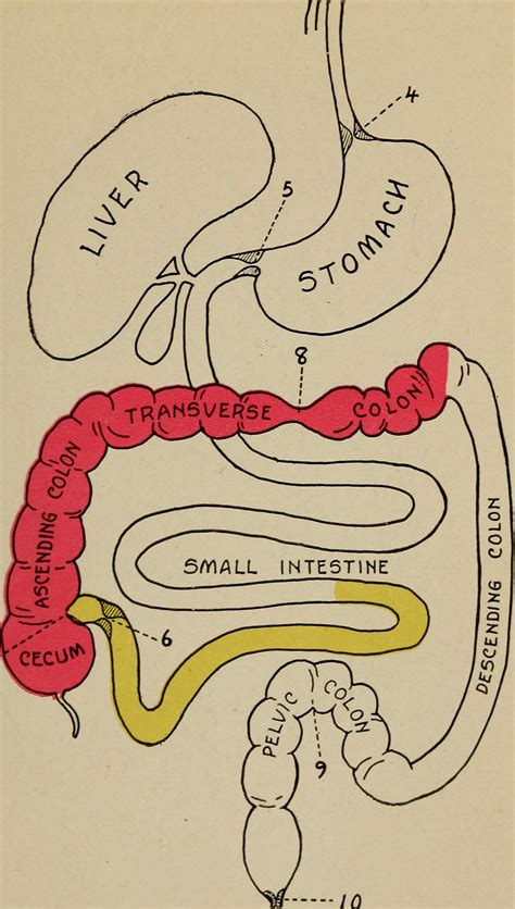 Symptoms Of Constipation General Center