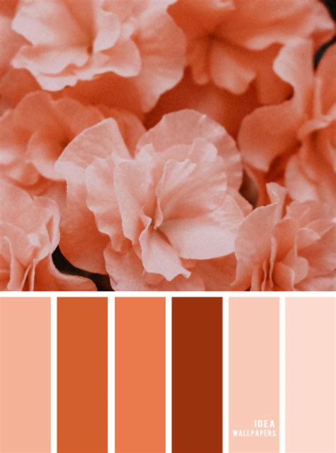 Color Inspiration Peach Hues Idea Wallpapers Iphone Wallpapers