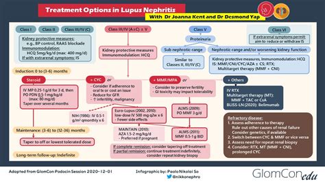 Treatment Of Lupus Nephritis Practical Insights Glomcon Pubs