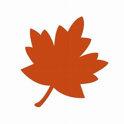 Leaves Fall Clipart Clip Leaf Maple Clipground
