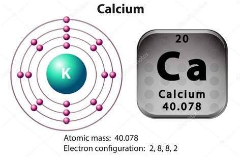 Symbol And Electron Diagram For Calcium Stock Vector Image By