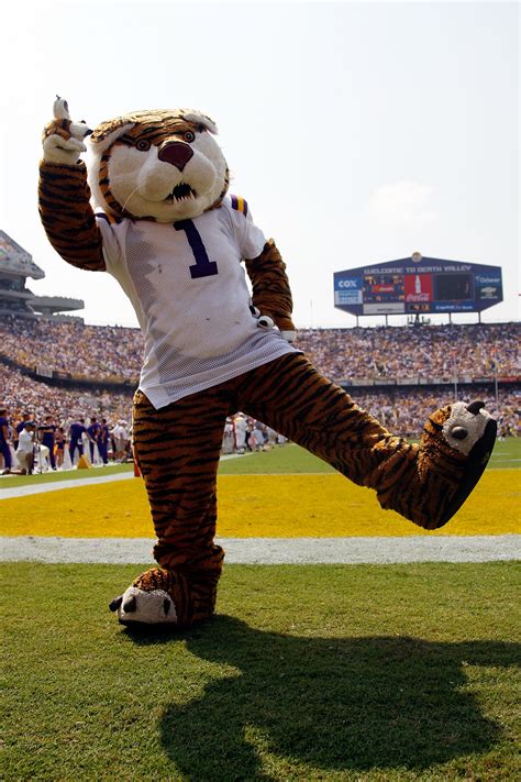 Represent Power Ranking The Mascots Of The Sec Bleacher Report