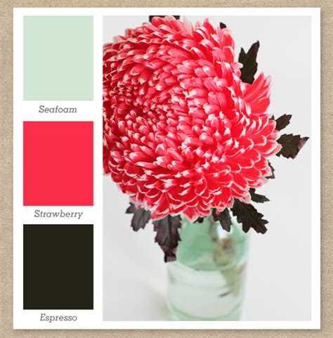 Rgb color space or rgb color system, constructs all the colors from the combination of the red, green and blue colors. Mint Green, Pink and Dark Brown Color Palette - Sarah Hearts