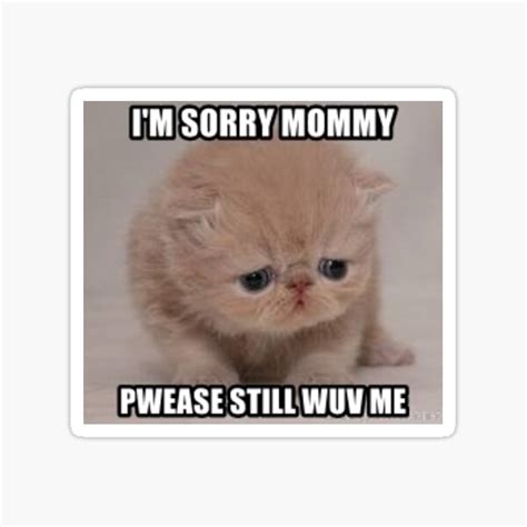 Mommy Sorry Cute Sad Cat Meme Sticker For Sale By Kirsteneileen